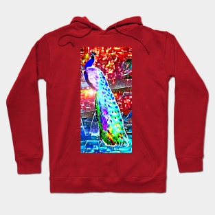 Peacock in Colors Hoodie